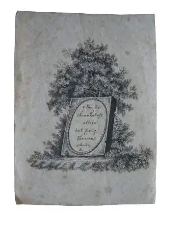 Wiener Billet Fels der Freundschaft vor Baum Kupferstich 1850 Liber amicorum