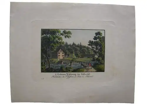 Salomon Gessners Wohnung im Sihlwald Schweiz Zürich Orig Lithografie 1860