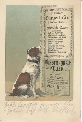 AK Reklamnekarte Bürgerbräu Keller München Hund vor Litfaß-Säule 1915 Litho