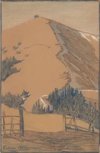 AK Bergige Landschaft Farbstiftzeichnung signiert Altmann gel 1914