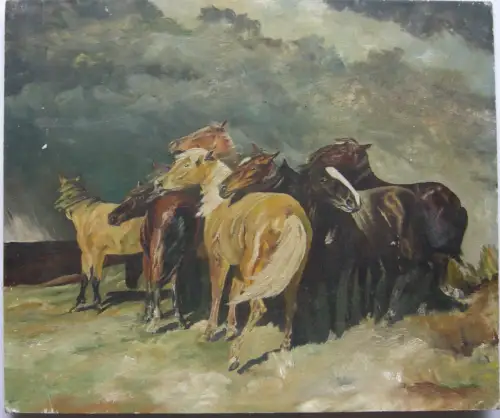 Zusammenkauernde Wildpferde im Sturm wild Horses Öl auf Karton unsigniert 1900