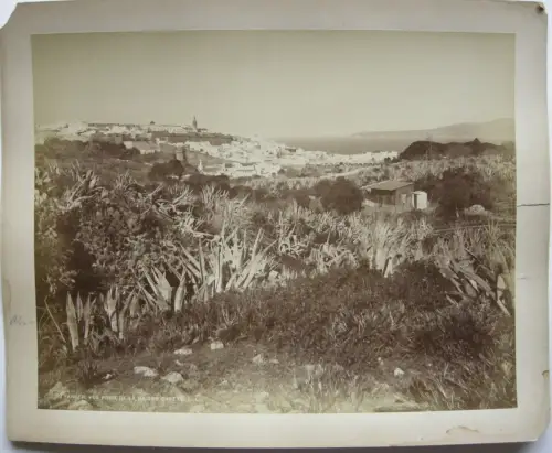 Tanger vue de la Maison Onetto Marokko Maroq Albumin Print 1880