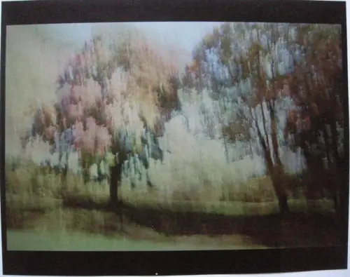 Lynn H. Butler (XX-XXI) Two Trees Sleepy Hollow Cibachrome Print 1990. 3/25