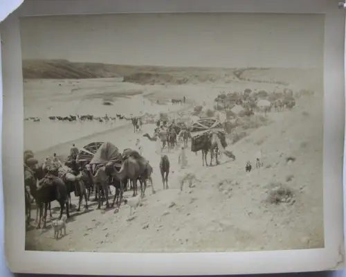 Algerien Karavanne in der Sahara Foto Neurdein Albumin Print um 1880 Afrika