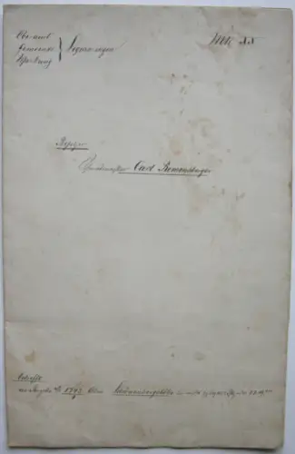 Flurkarte Gemarkung Sigmaringen MK XX Remensberger Orig. Lithografie 1844 Lutz