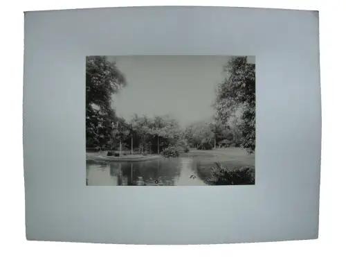 Saigon Vietnam Botanical Garden Botanischer 1890 Albumin Photo Ho-Chi-Minh-Stadt