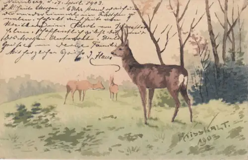 AK Reh auf einer Waldlichtung Aquarell H. Kisskalt 1903 sign
