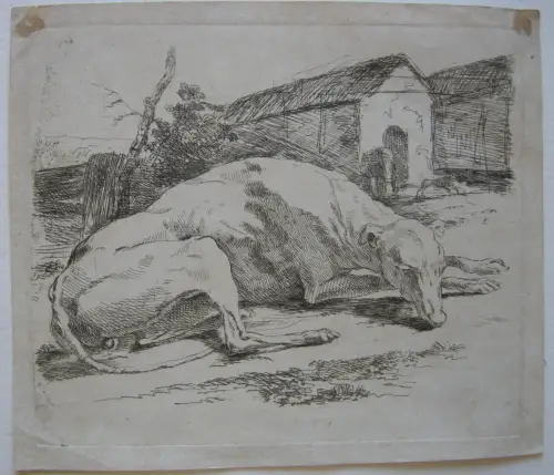 Raphael Winter Wintter (1784-1852) Liegender Hofhund Orig Radierung 1820