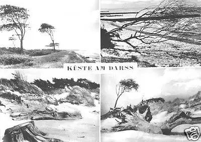 AK, Küste am Darß, vier Abb., 1964