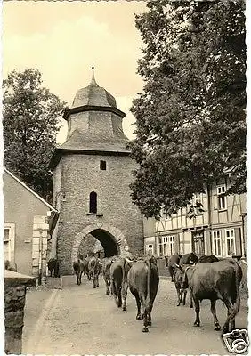 AK, Stolberg Harz, Rittertor mit Kuhherde, 1960