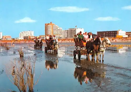 AK, Cuxhaven - Duhnen, Wattwagen bei der Abfahrt, 1979
