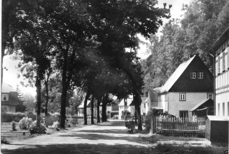 Ansichtskarte, RechenbergBienenmühle Erzgeb., Hauptstr