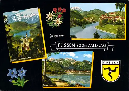 AK, Füssen Allgäu, drei Abb., gestaltet, 1981