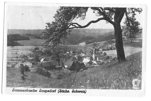 Ansichtskarte, Saupsdorf Sächs. Schweiz, Gesamtansicht, 1956, Echtfoto