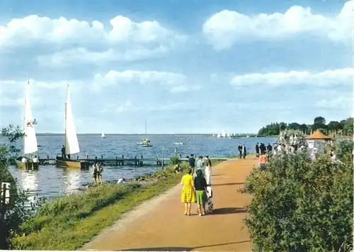 AK, Steinhude am Meer, Seepromenade, belebt, 1979