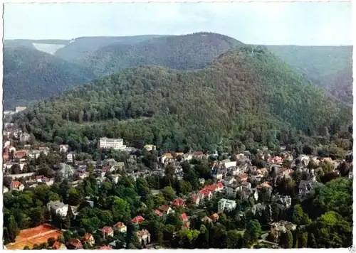 AK, Bad Harzburg Harz, Blick auf Sanatorium am Burgberg, Luftbild, 1965