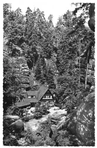 Ansichtskarte, Uttewalde Sächs. Schweiz, Uttewalder Grund, "Waldidylle", 1964