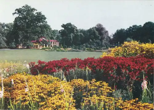 AK, Markkleeberg bei Leipzig, Die Sommerblumenwiese der agra, 1969