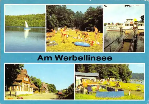 AK, Werbellinsee Kr. Eberswalde, Am Werbellinsee, fünf Abb., 1987