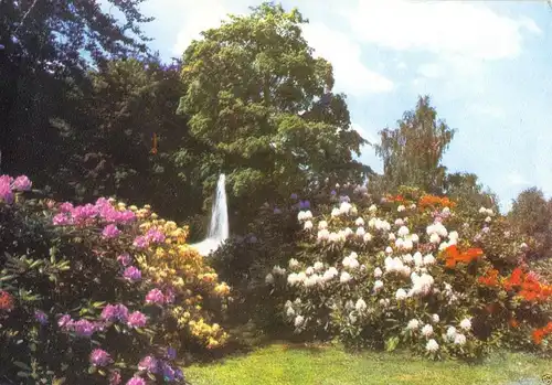 AK, Friedrichroda Thür. Wald, Puschkinpark, Version 2, 1971