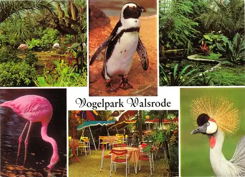 AK, Walsrode, Vogelpark, sechs Abb., um 1982