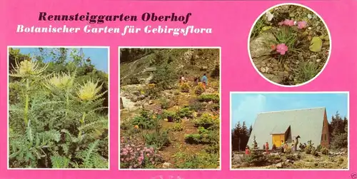 Ansichtskarte lang, Oberhof Thür. Wald, Rennsteiggarten Oberhof, vier Abb., 1981