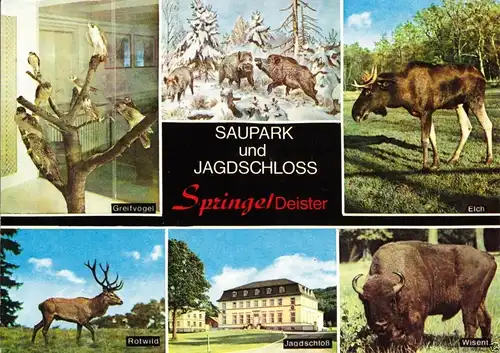 AK, Springe Deister, Saupark und Jagdschloß, sechs Abb., 1984