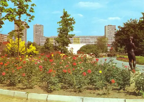 AK, Frankfurt Oder, Partie im Botanischen Garten, 1981