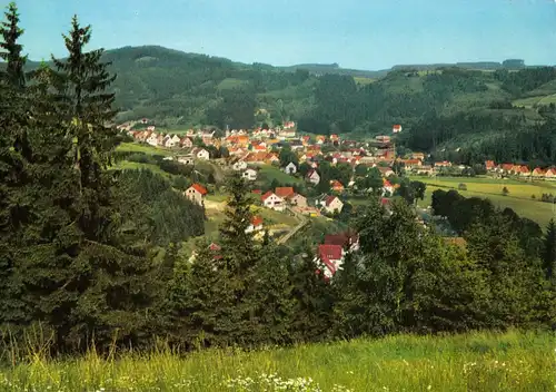 AK, Steinwiesen im Frankenwald, Gesamtansicht, Version 2, um 1980