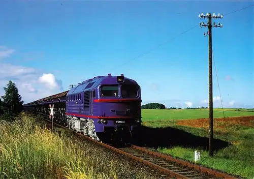 AK, Karow, V200.01 der Prignitzer Eisenbahn GmbH mit Ganzzug, 21.6.1999