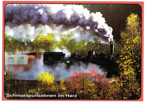 AK, Schmalspurbahnen im Harz, Dampflok 99 5906-5, um 1996