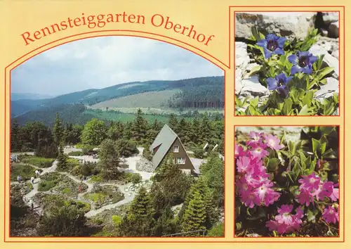 AK, Oberhof Thür. Wald, Rennsteiggarten, drei Abb., um 1995