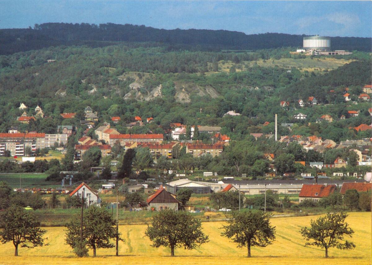 Ansichtskarte, Bad Frankenhausen Kyffh., Teilansicht mit