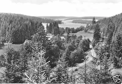 AK, Trautenstein Harz, Dammbachtal, 1972