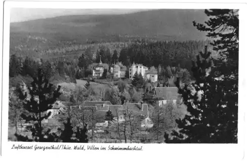 AK, Georgenthal Thür. Wald, Villen im Schwimmbachtal, 1956