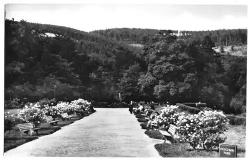 AK, Friedrichroda Thür. Wald, Puschkinpark, 1962