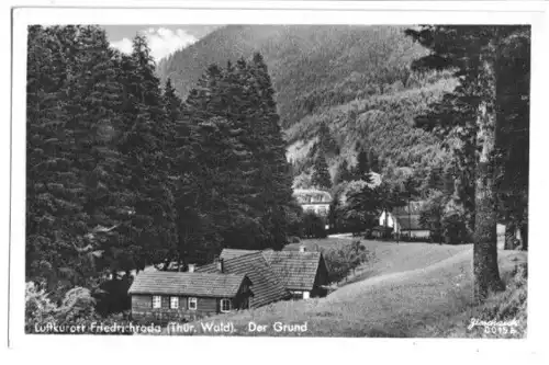 AK, Friedrichroda Thür. Wald, Partie im Grund, 1950