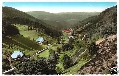 AK, Nussbachtal Schwarzwald, Teilansicht, um 1965