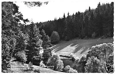 AK, Königsfeld im Schwarzwald, Partie im Glasbachtal, 1972