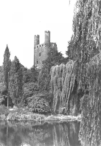 AK, Saalfeld Saale, Blick von der Saale zum Hohen Schwarm, 1983