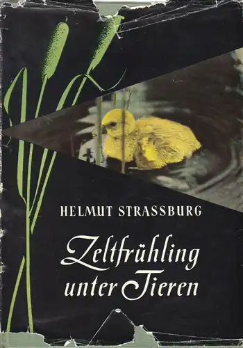 Strassburg, Helmut; Zeltfrühling unter Tieren, 1956