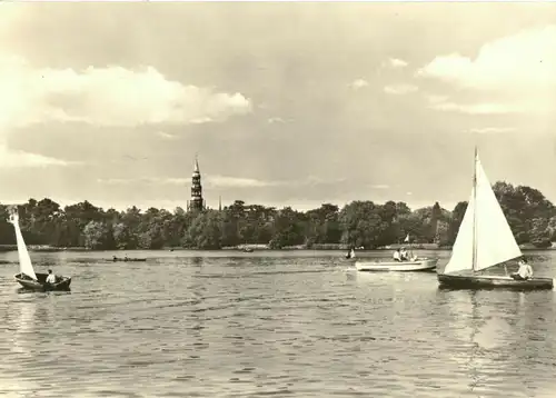 AK, Zwickau Sa., Partie am Schwanenteich, 1967