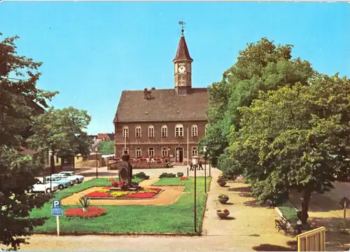 AK, Schildau Kr. Torgau, Platz der DSF mit Gneisenau-Denkmal, 1981