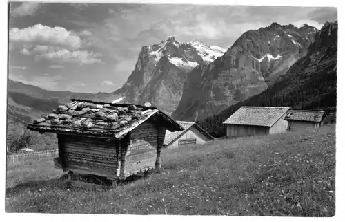 AK, Alpiglen b. Grindelwald, BE, Alpenhotel, Wetterhorn, Version 2, 1960