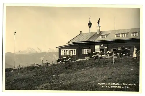 AK, St. Johann in Tirol, Alpengasthof Angereralm, belebt, Rinder, um 1936