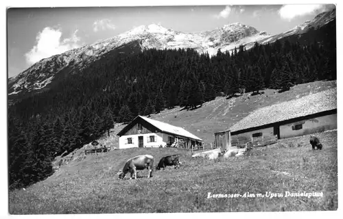 AK, Leermoos, Tirol, Lermooser Sennalm, um 1959