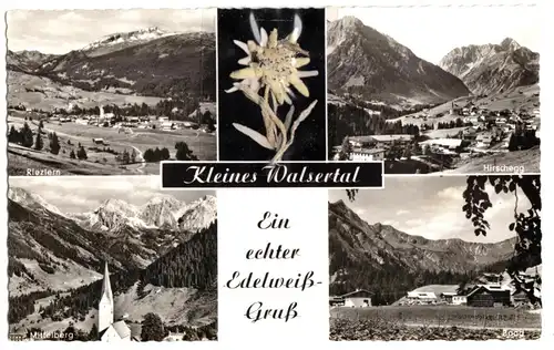 AK, Kleines Walsertal, Vorarlberg, vier Abb. und Edelweiß, um 1965