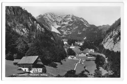 AK, Hallstatt, Oberösterreich, Teilansicht mit Salzberg, 1959