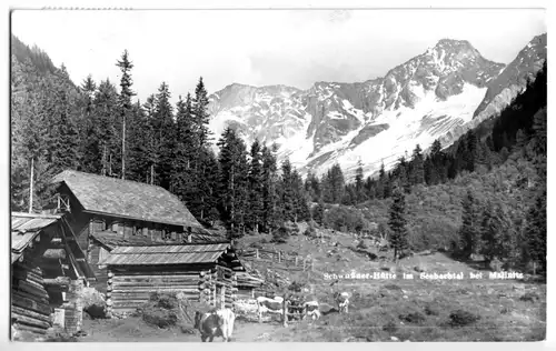 AK, Mallnitz Kärnten, Schwußner-Hütte im Seebachtal b. Mallnitz, 1963