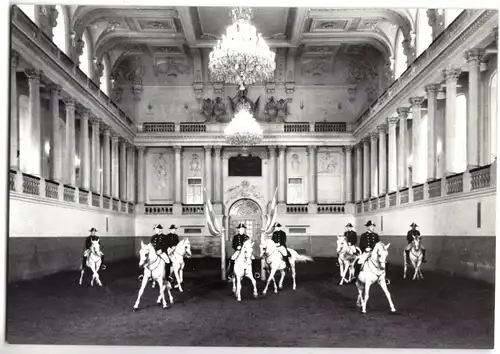 AK, Wien, Hofburg, Spanische Reitschule, Schulquadrille, um 1966